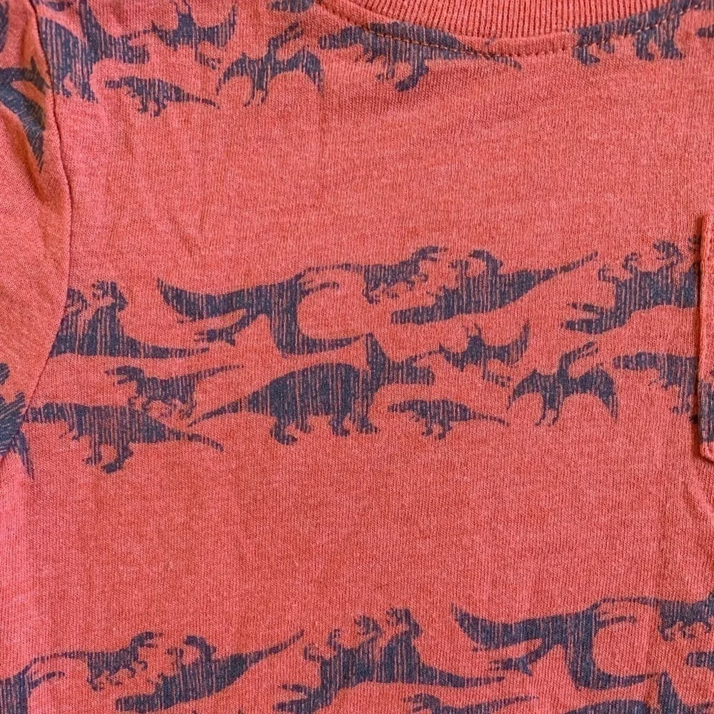 Old Navy Dinosaur Pink Orange Salmon Short Sleeve Tshirt